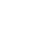 Químico