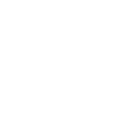 Serviços