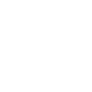Papel E Celulose