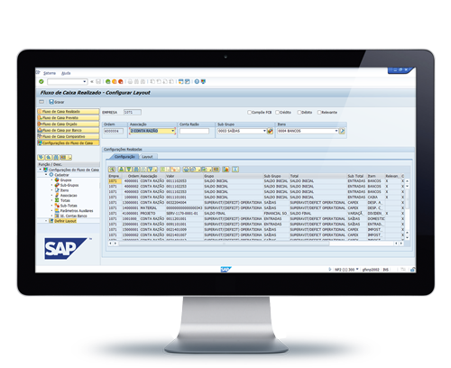 Imgem do programa Fluxo de Caixa SAP