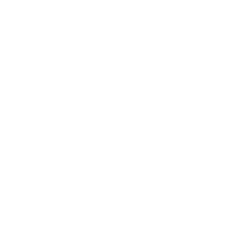 Business Objects icon